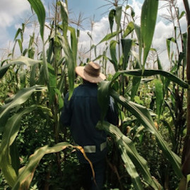 agricOrchardMan